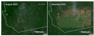 Impacts of palm oil trade on ecosystem services: Cameroon as a case study